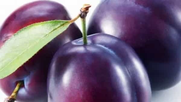 قیمت خرید آلو بخارا خشک طرقبه‌ + فروش ویژه